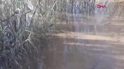 Aydın'da etkili olan sağanak yağışlar