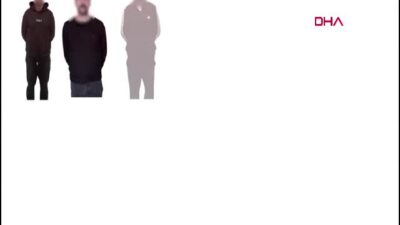 İçişleri Bakanı Ali Yerlikaya, Gürcistan,