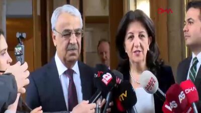 DEM Parti heyeti, İmralı ziyareti