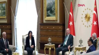 Cumhurbaşkanı Recep Tayyip Erdoğan, DEM