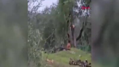 Muğla Valiliği, CHP Milas İlçe