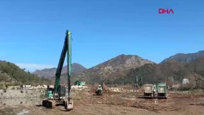 Tarım ve Orman Bakan Yardımcısı