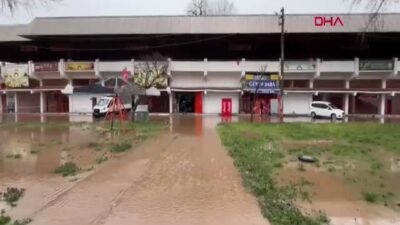 Edirne'de Meriç ve Tunca nehirleri