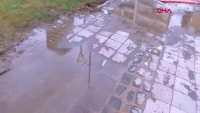 TÜBA Üyesi Prof. Dr. Doğan