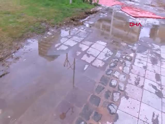 TÜBA Üyesi Prof. Dr.