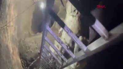 Hatay'ın Payas ilçesinde ev bahçesinde