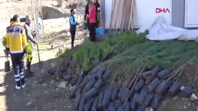 Şırnak Valisi Birol Ekici, Cudi