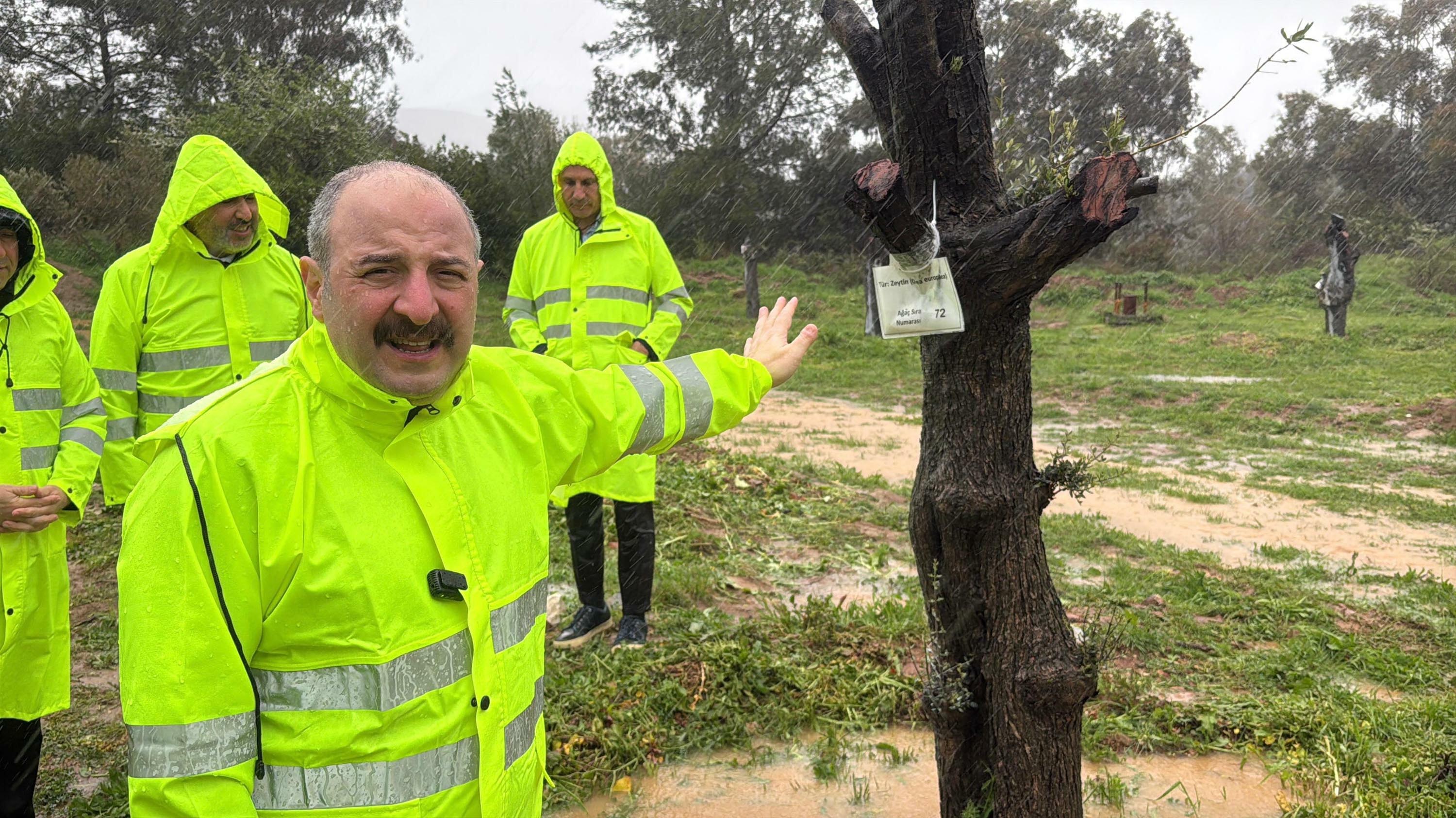AK Partili Mustafa Varank, Milas'ta