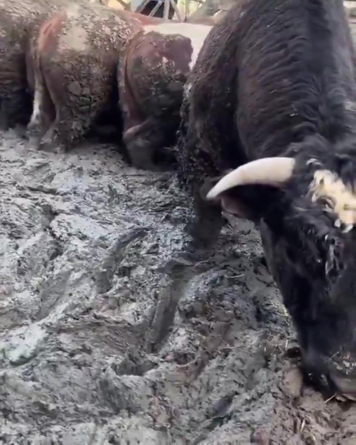 Konya'da sosyal medyada tepki çeken