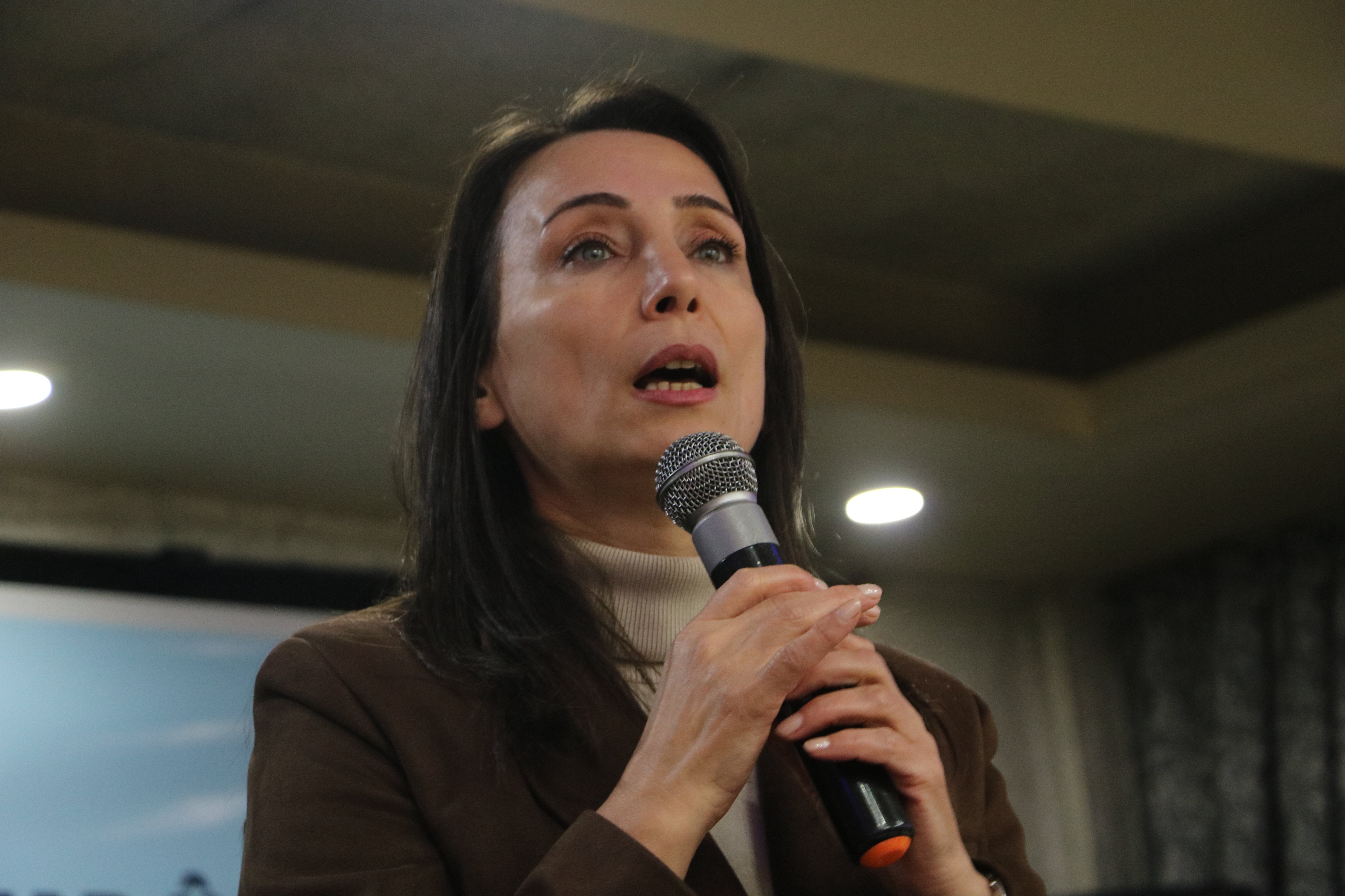 DEM Parti Eş Genel Başkanı