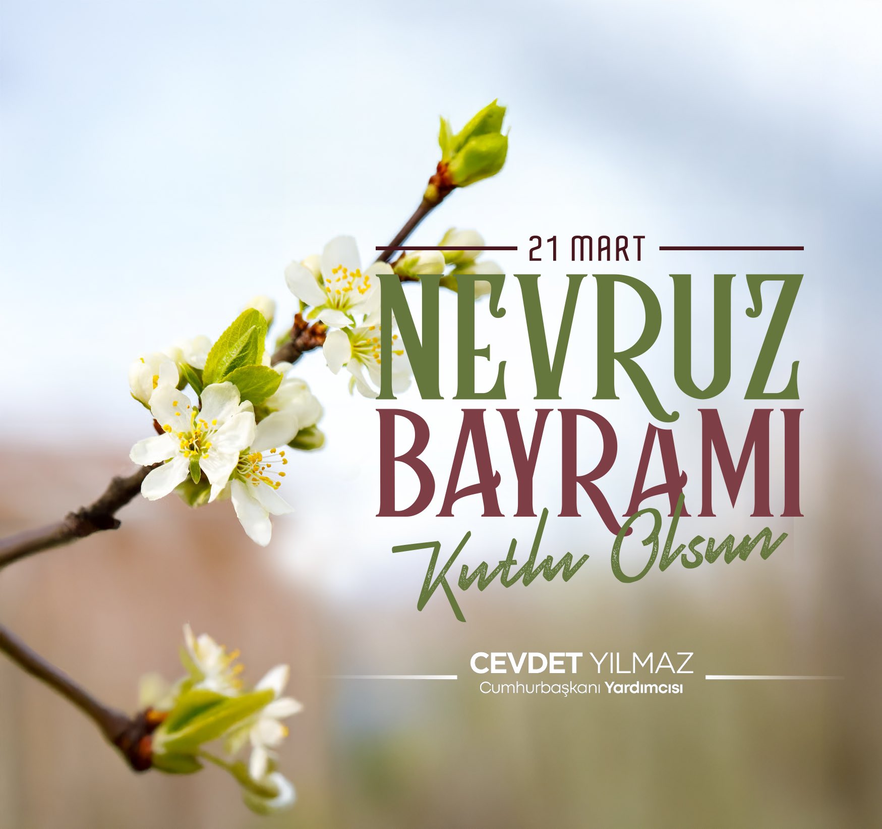 Cumhurbaşkanı Yardımcısı Cevdet Yılmaz, Nevruz