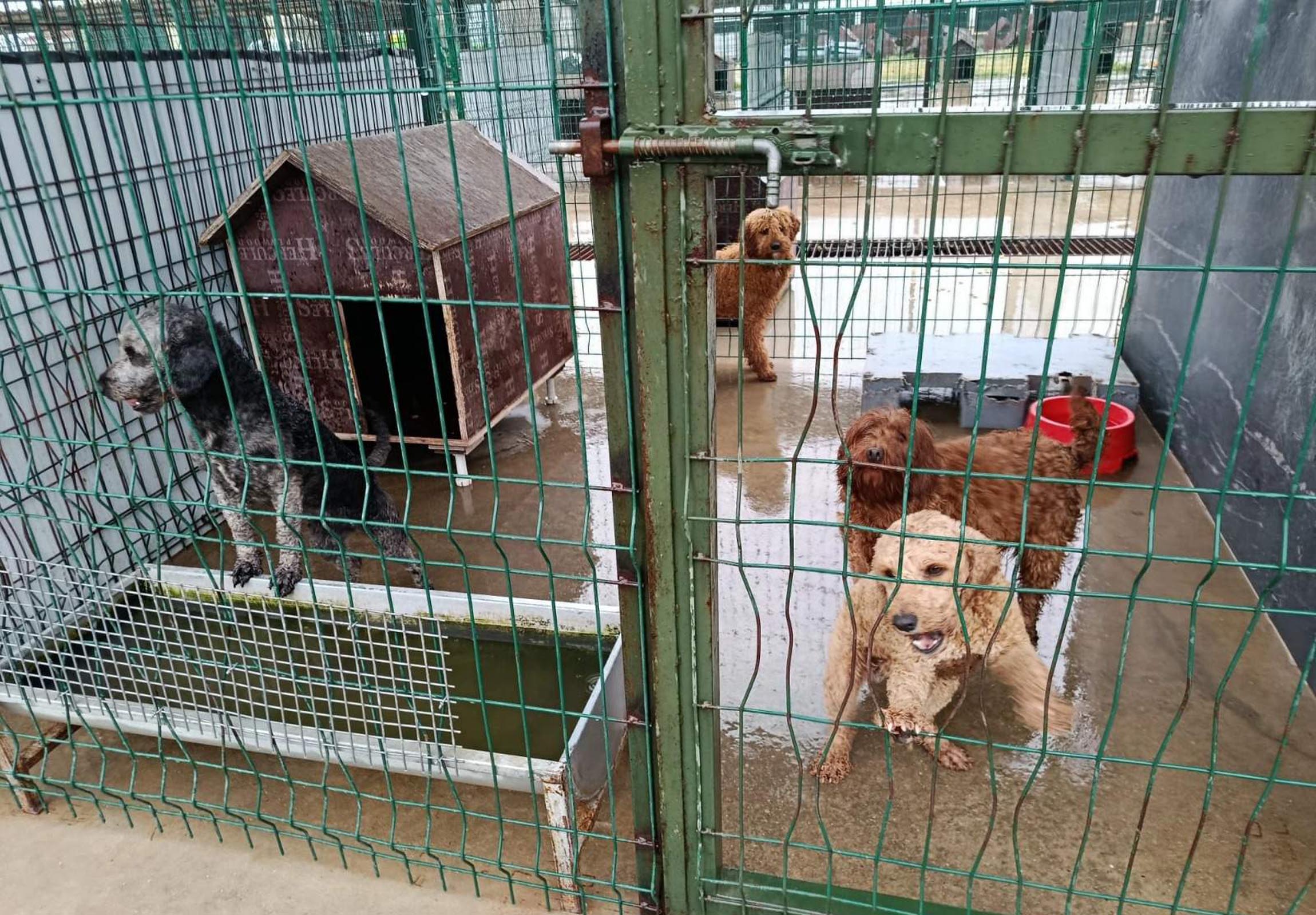 Edirne'nin Lalapaşa ilçesinde jandarma ekipleri,