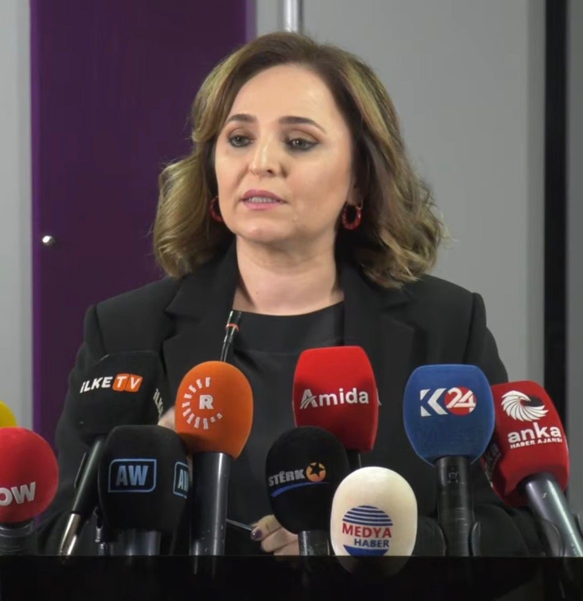 DEM Parti Sözcüsü Ayşegül Doğan,