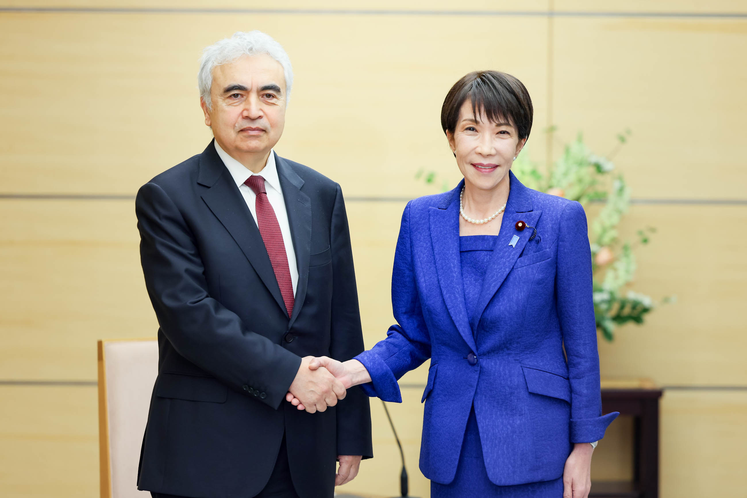 IEA Başkanı Fatih Birol, Japonya