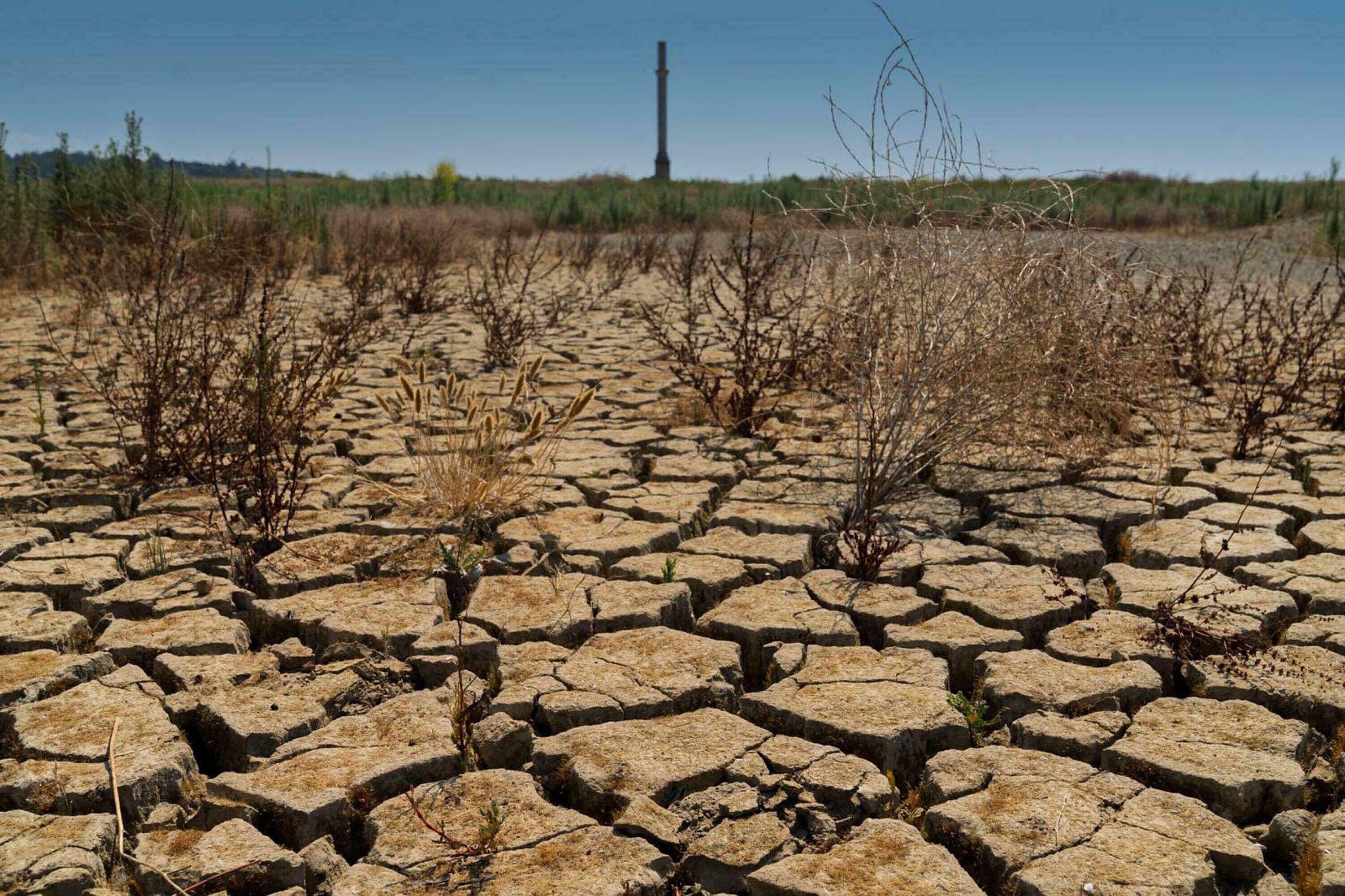 Prof. Dr. Murat Türkeş, Türkiye'de