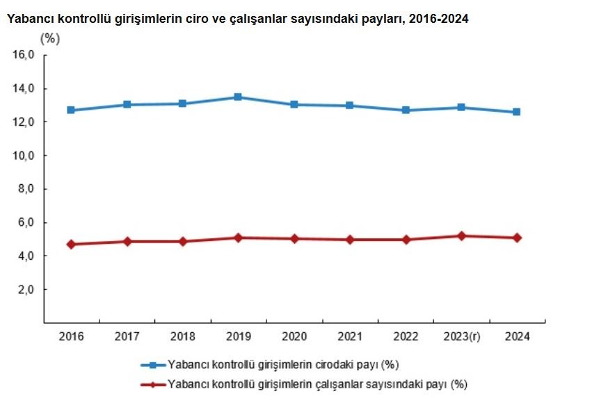 TÜİK, 2024 yılına ilişkin yabancı