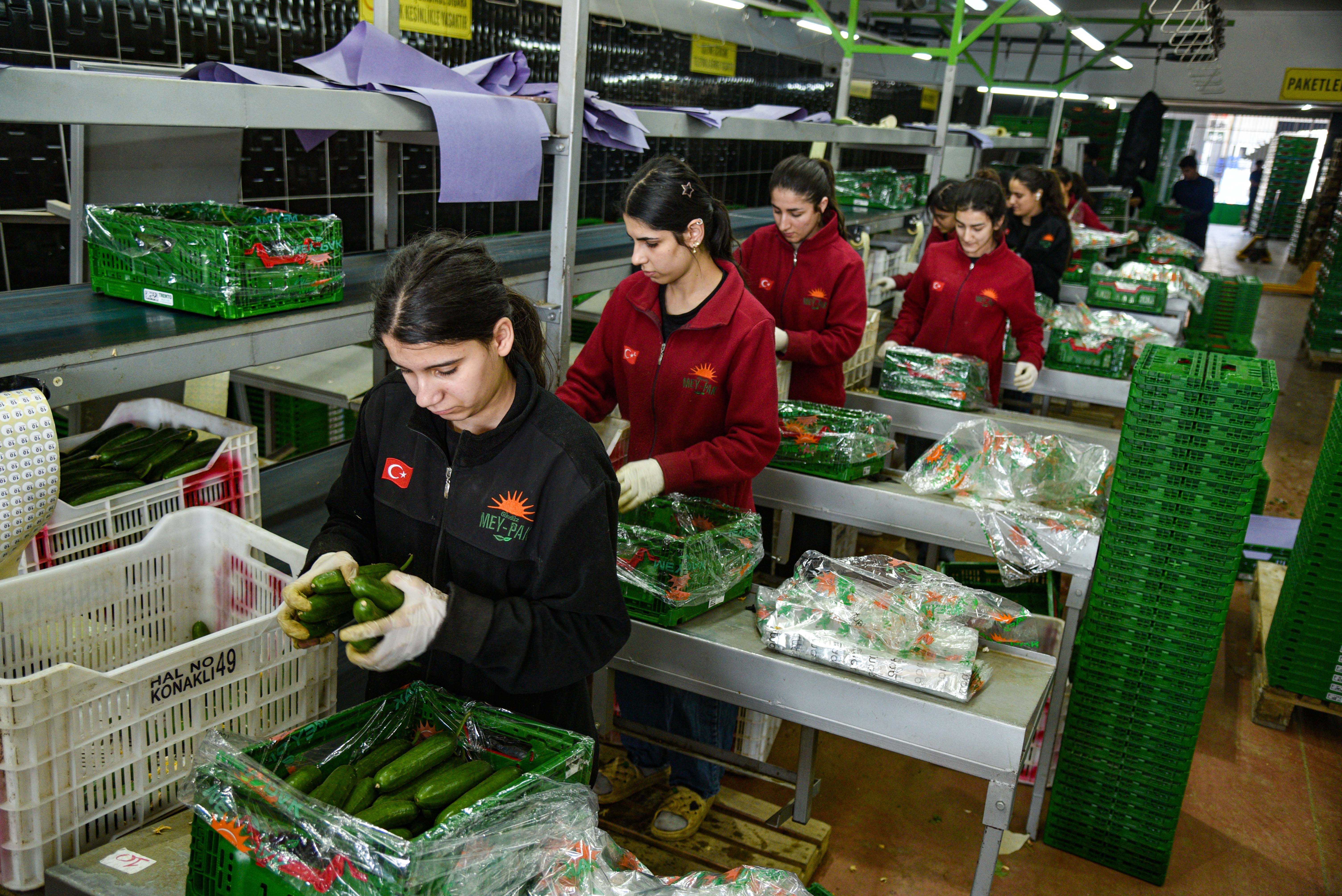 İran'daki savaş sonrası Rusya'nın sebze