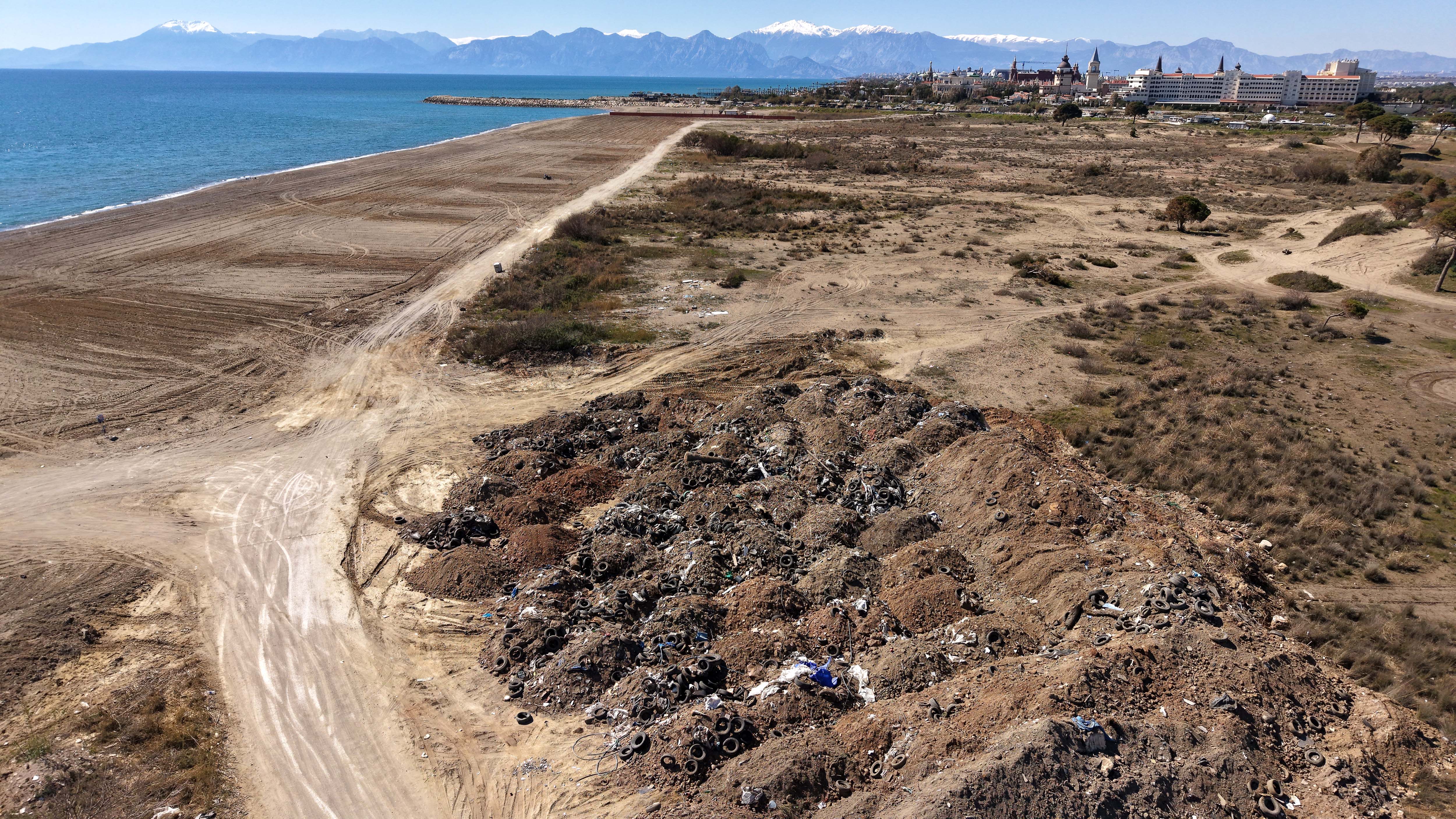 Antalya Kumköy Sahili'nde caretta carettaların