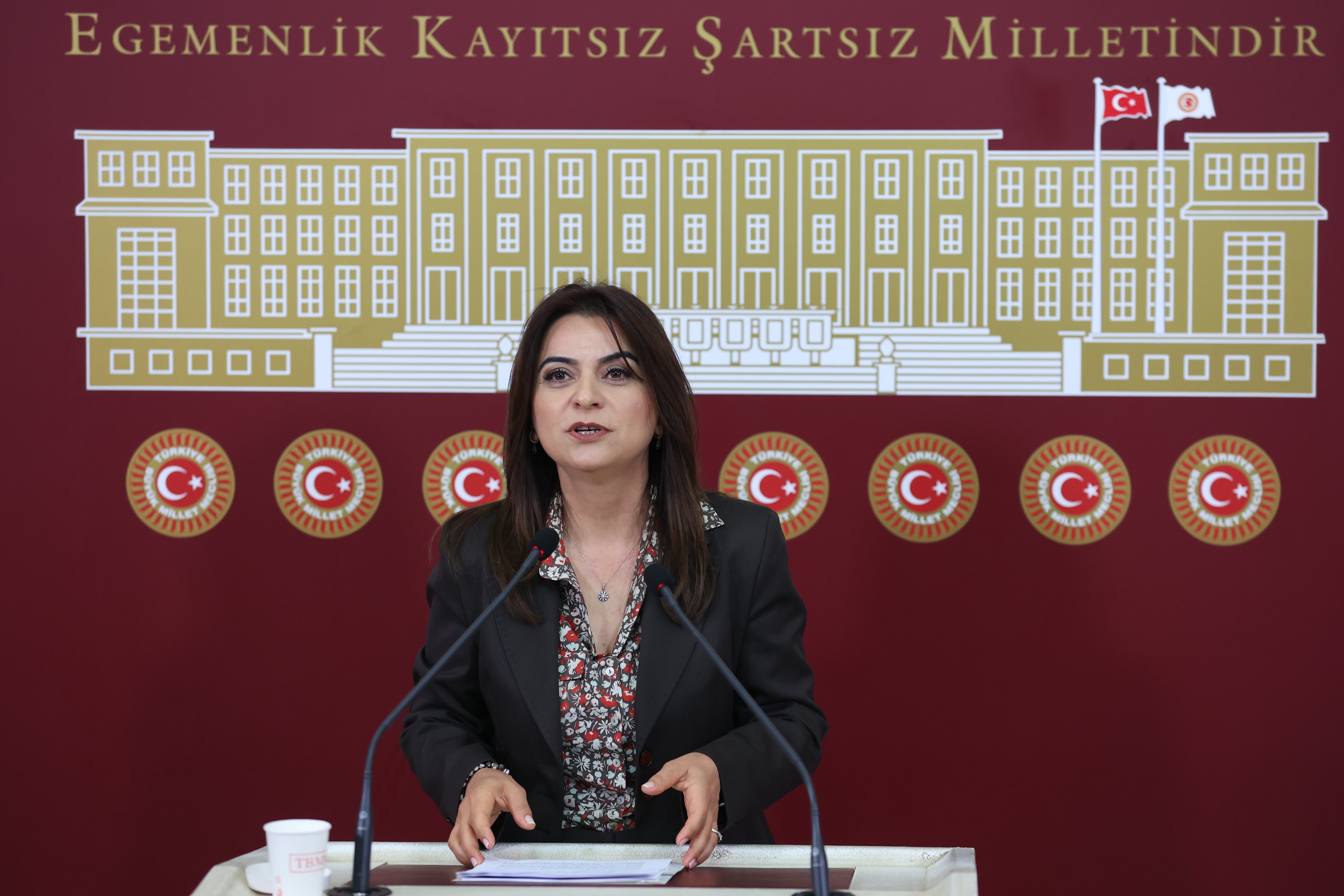 DEM Parti İzmir Milletvekili Mahmut