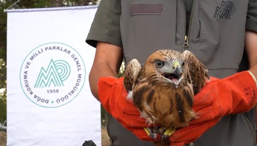 Tarım ve Orman Bakanlığı DKMP