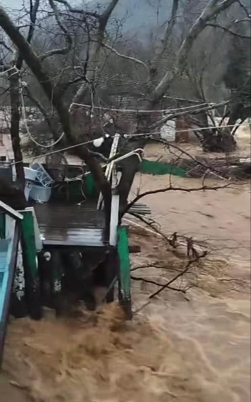 Yalova'nın Çınarcık ve Armutlu ilçelerinde