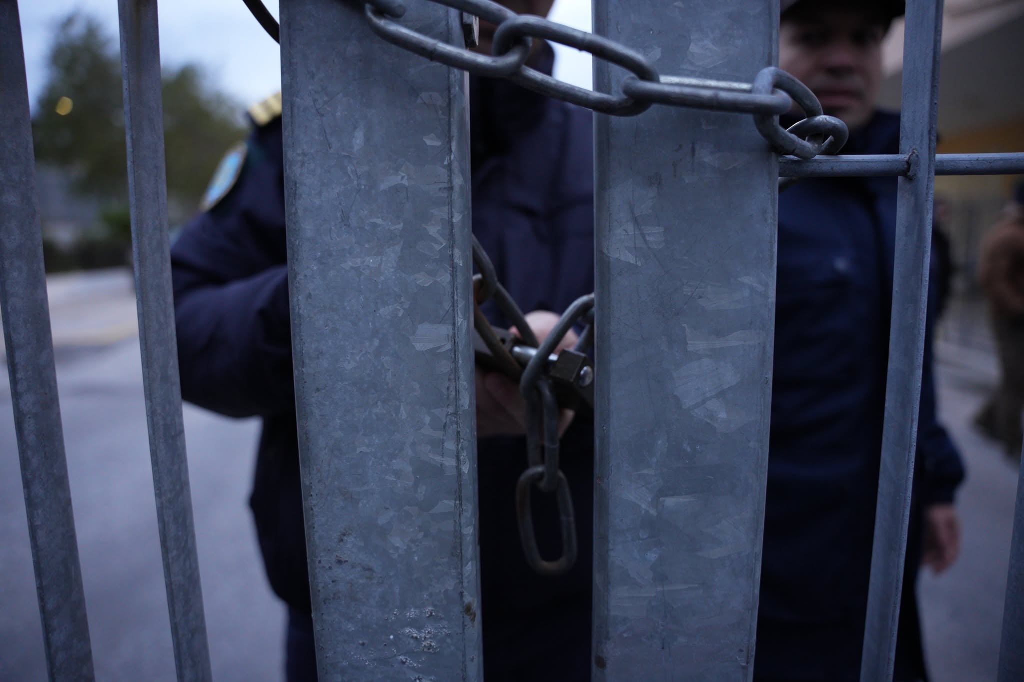 Yunanistan'ın Midilli Adası'ndaki şap hastalığı