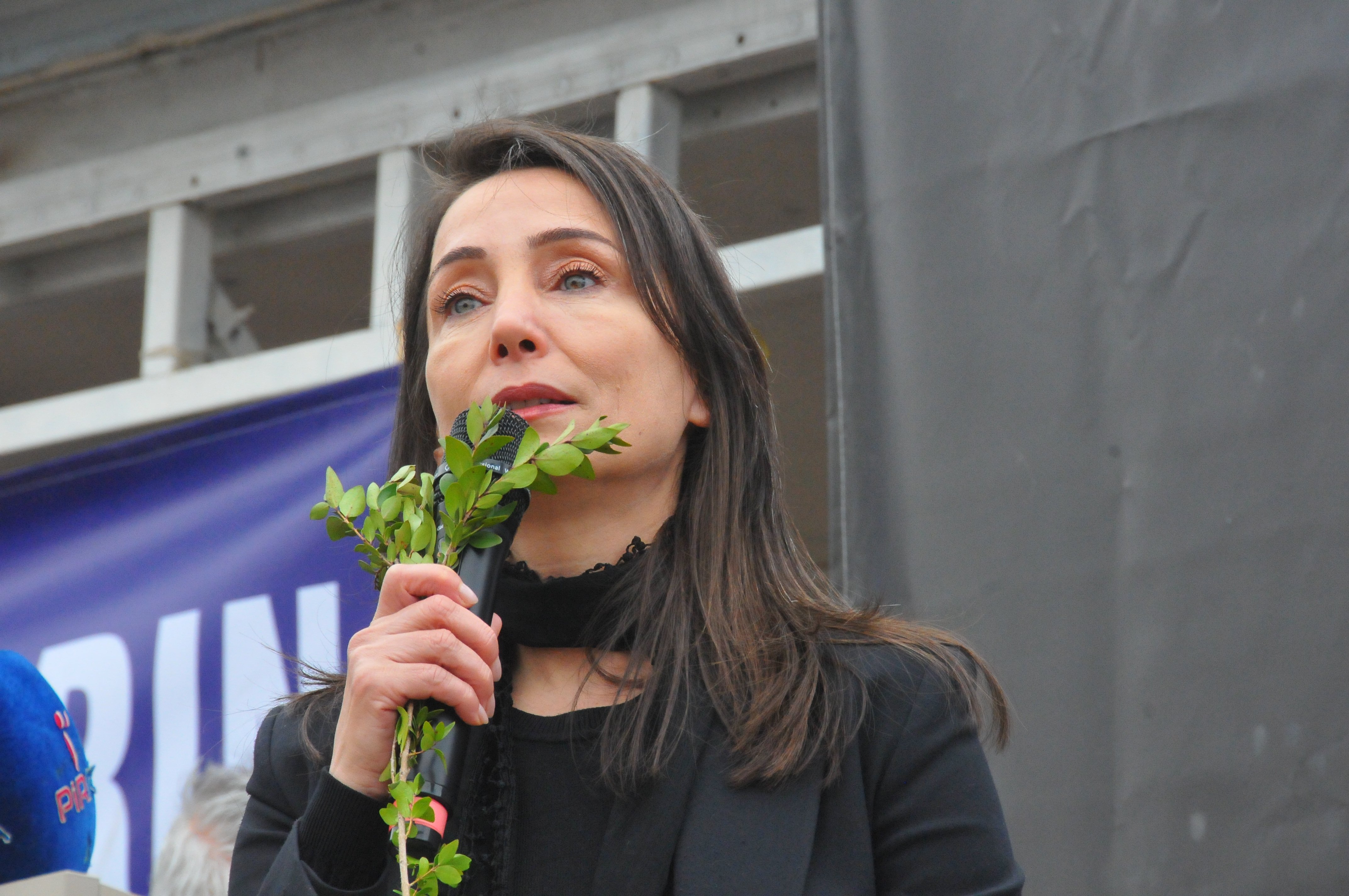 DEM Parti Eş Genel Başkanı