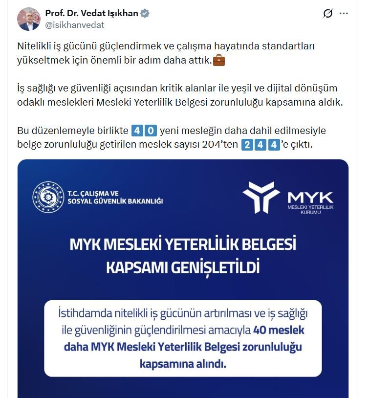 Çalışma Bakanı Vedat Işıkhan, Mesleki