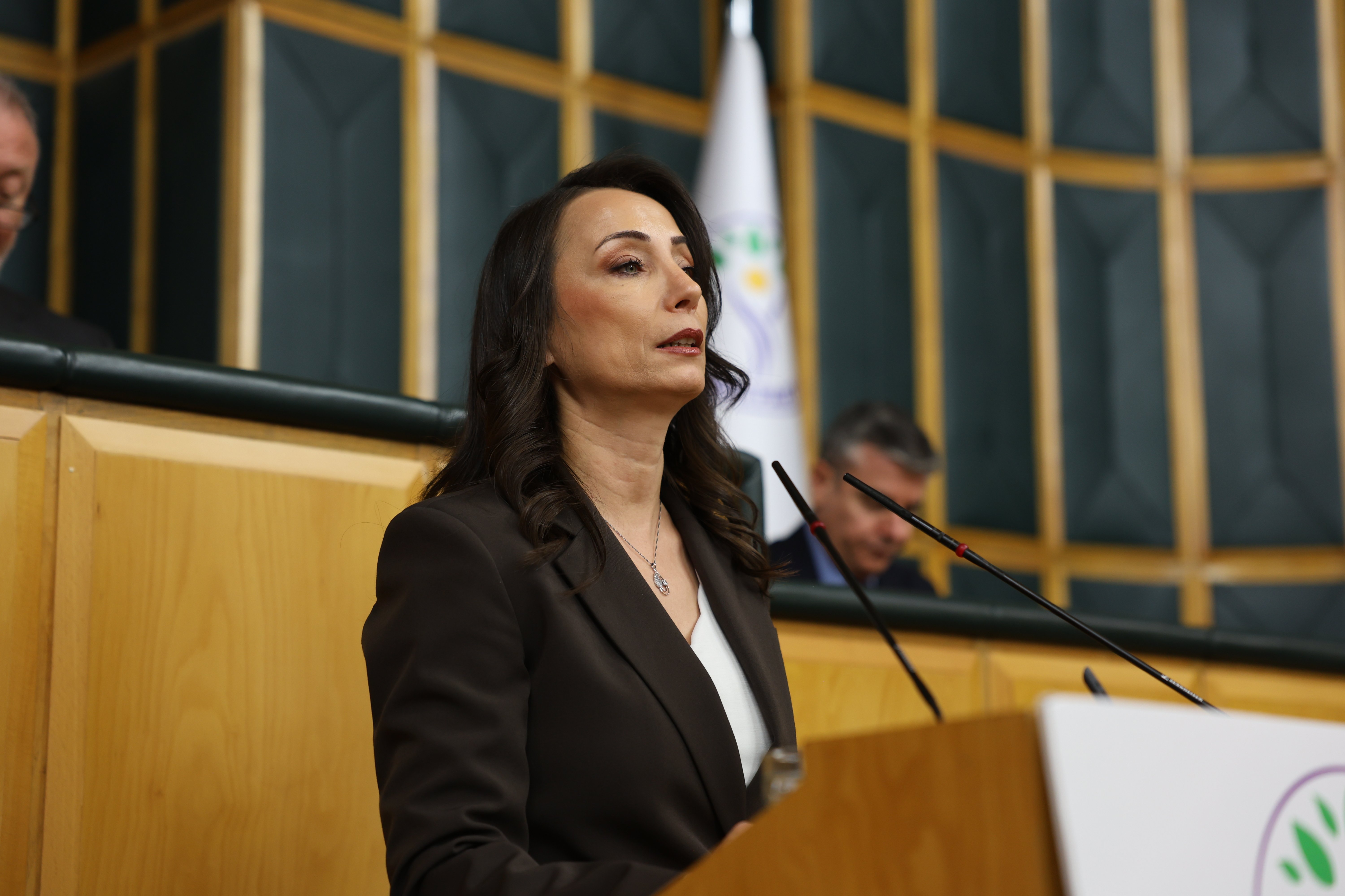 DEM Parti Eş Genel Başkanı