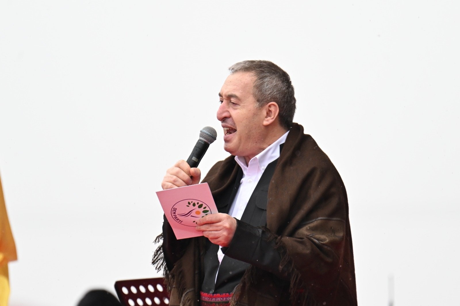 DEM Parti Eş Genel Başkanı