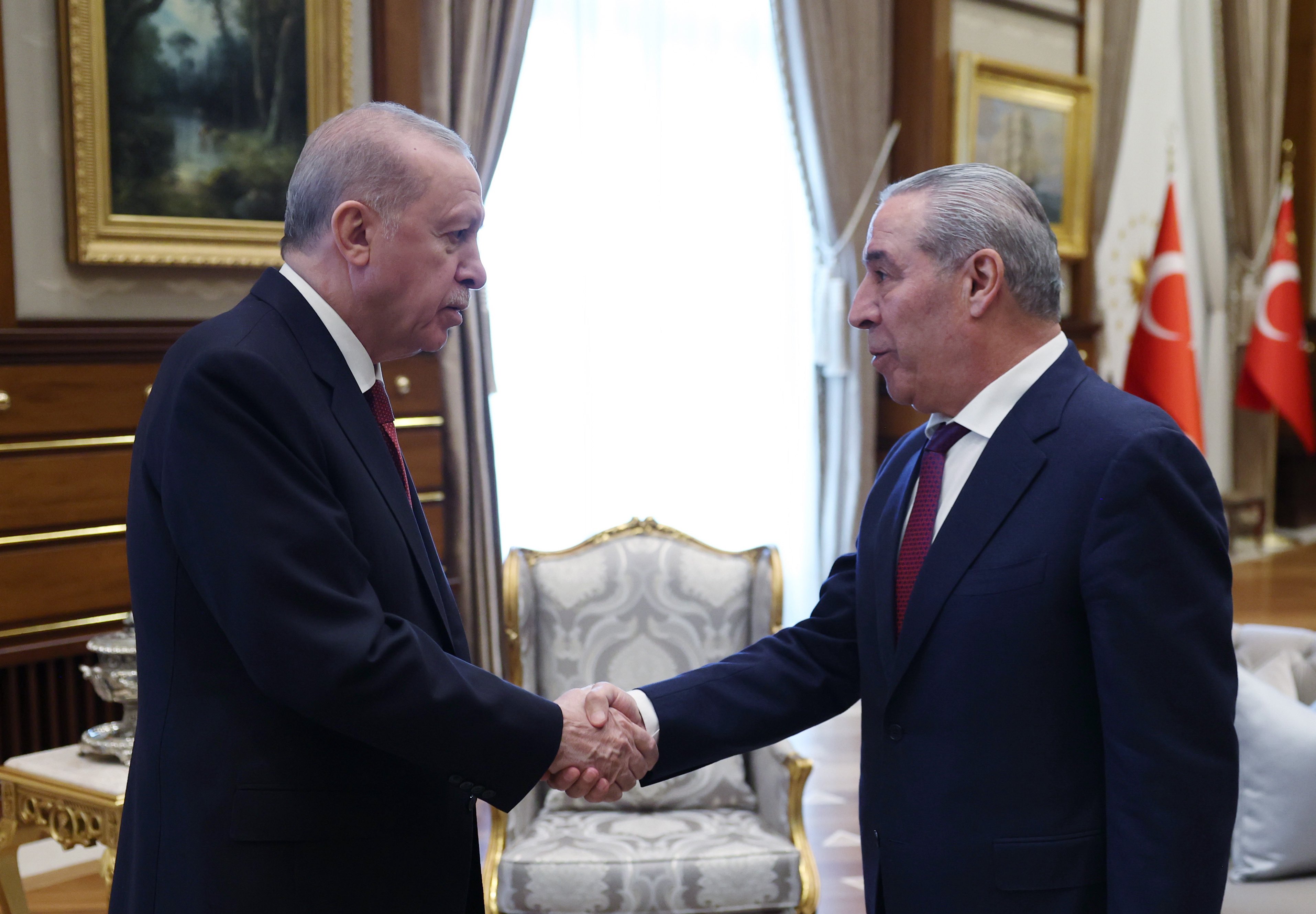 Cumhurbaşkanı Recep Tayyip Erdoğan, Filistin