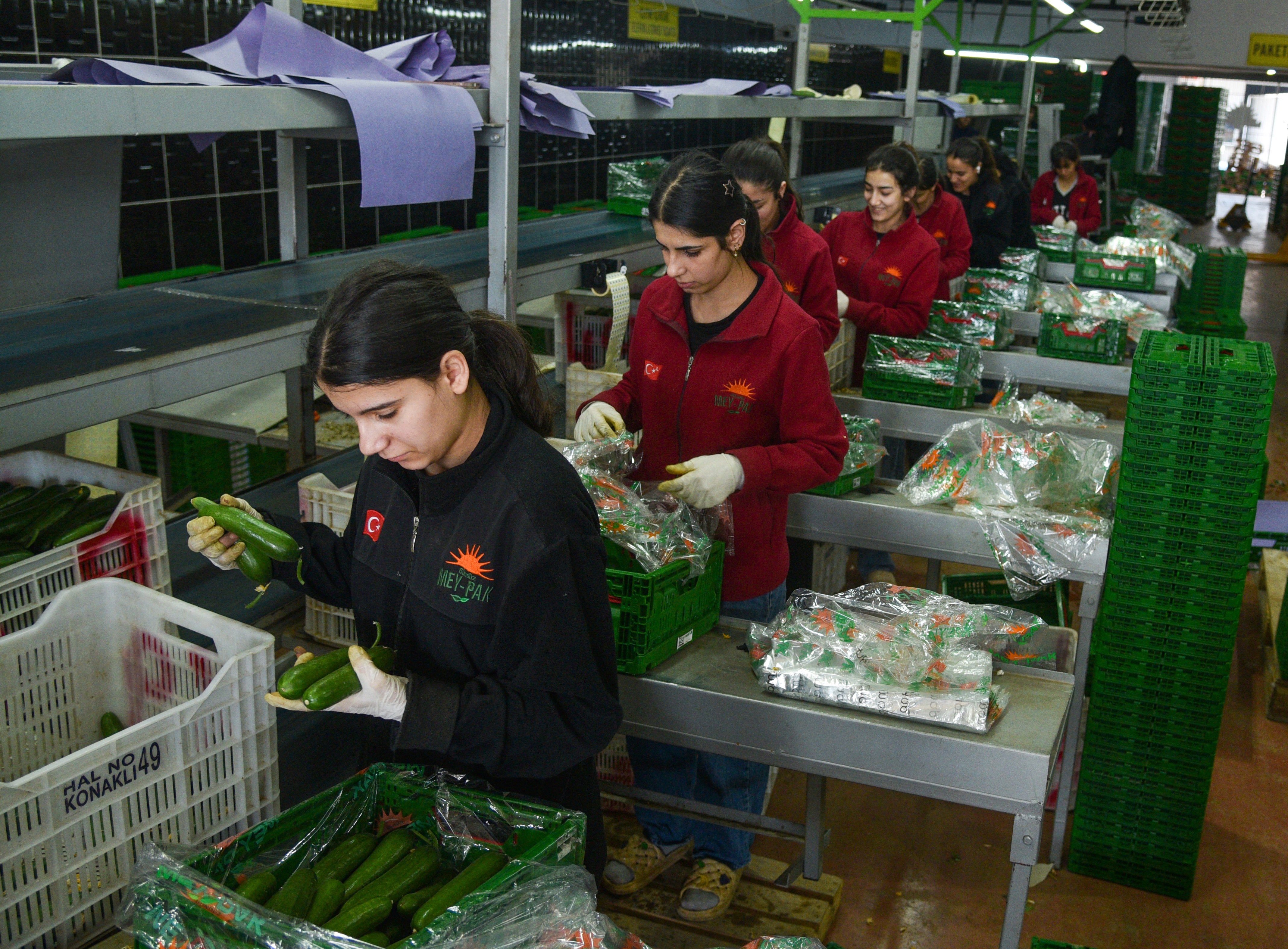 Antalya Büyükşehir Belediyesi Toptancı Hali,