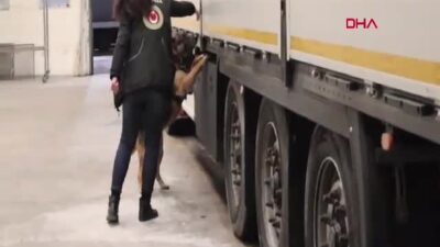 Ticaret Bakanlığı, Kapıkule Gümrük Kapısı'nda