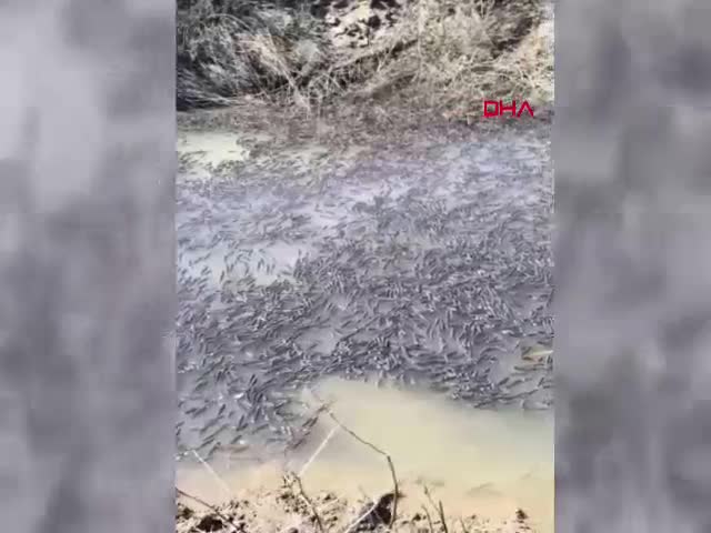 Diyarbakır Bismil'de Dicle Nehri