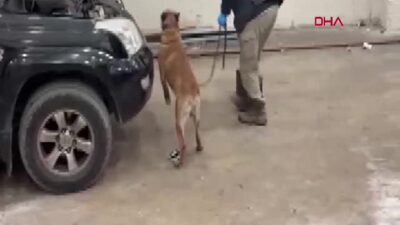 Edirne Kapıkule Sınır Kapısı'nda Bulgar