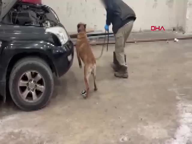 Edirne Kapıkule Sınır Kapısı'nda