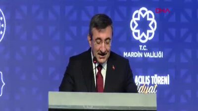 Cumhurbaşkanı Yardımcısı Cevdet Yılmaz, Mardin