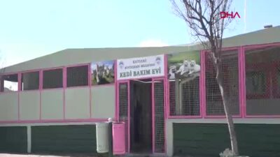 AK Partili Başkan Memduh Büyükkılıç'ın