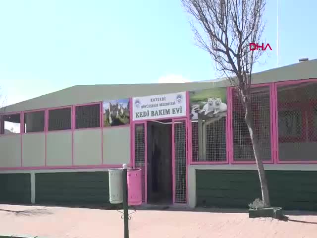 AK Partili Başkan Memduh