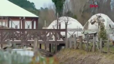 Emine Erdoğan, STK temsilcileriyle bir