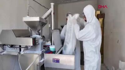 Mardin Büyükşehir Belediyesi, kırsal kalkınma