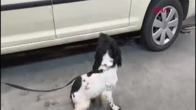 Edirne İpsala Sınır Kapısı'nda düzenlenen