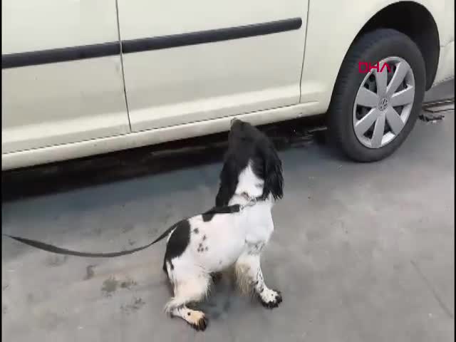 Edirne İpsala Sınır Kapısı'nda