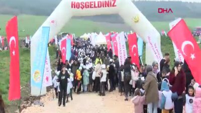 Bursa Valisi Erol Ayyıldız, Orman