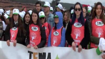 İzmir Bornova'da geçen yıl çıkan