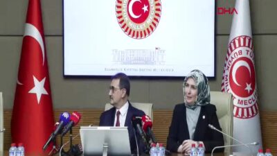 TBMM Yapay Zeka Araştırma Komisyonu,