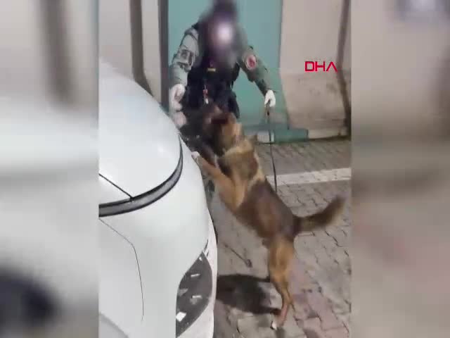 Siirt'te narkotik ekiplerinin operasyonunda,