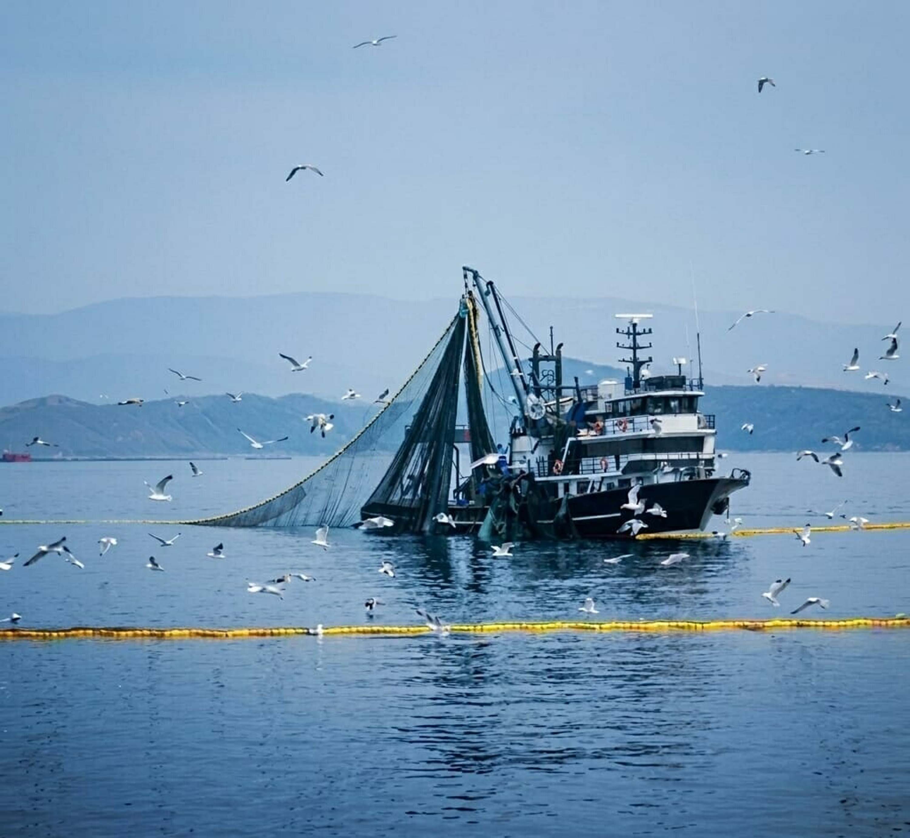 Tarım ve Orman Bakanlığı, gırgır