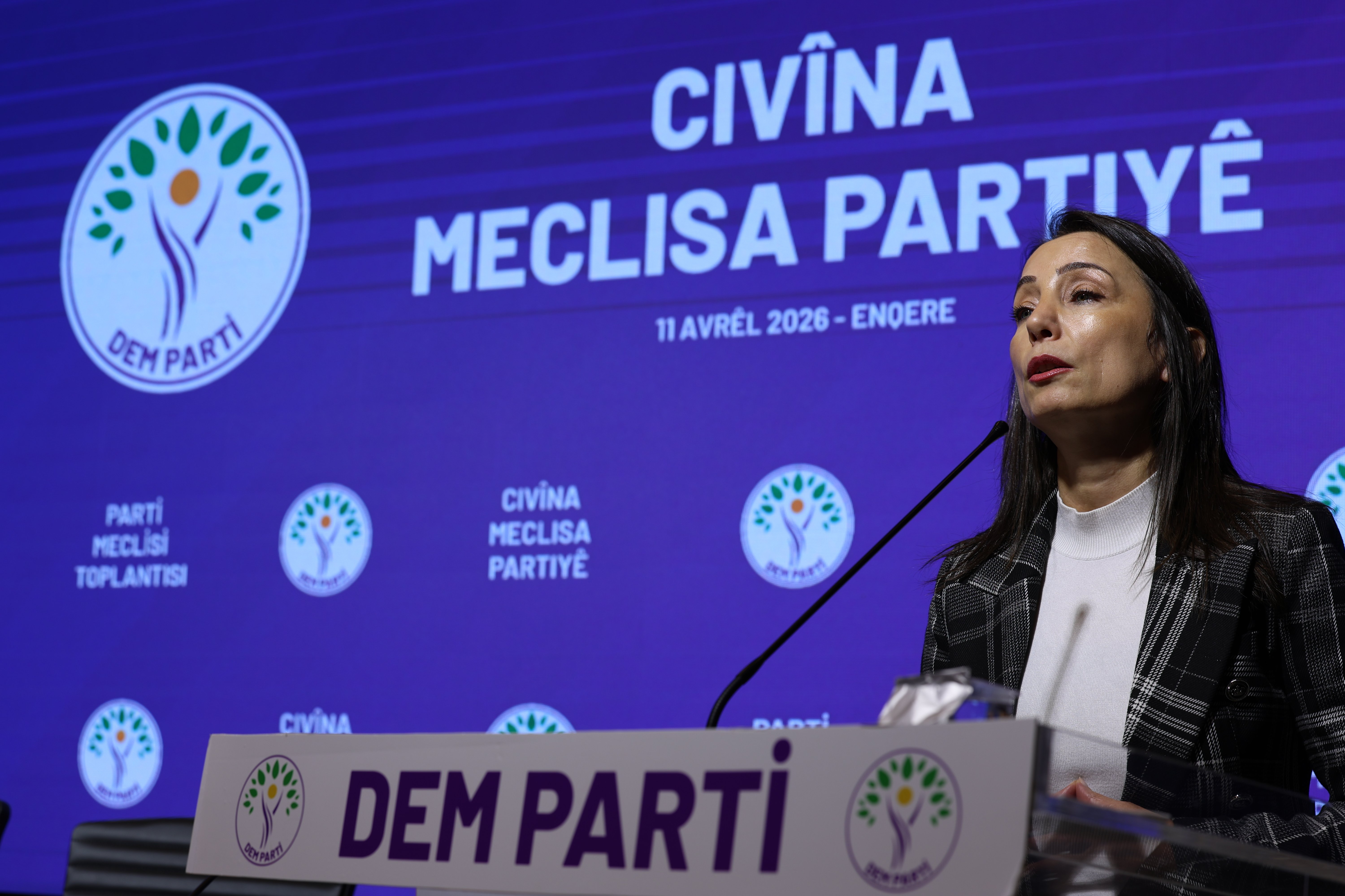 DEM Parti Eş Genel Başkanı