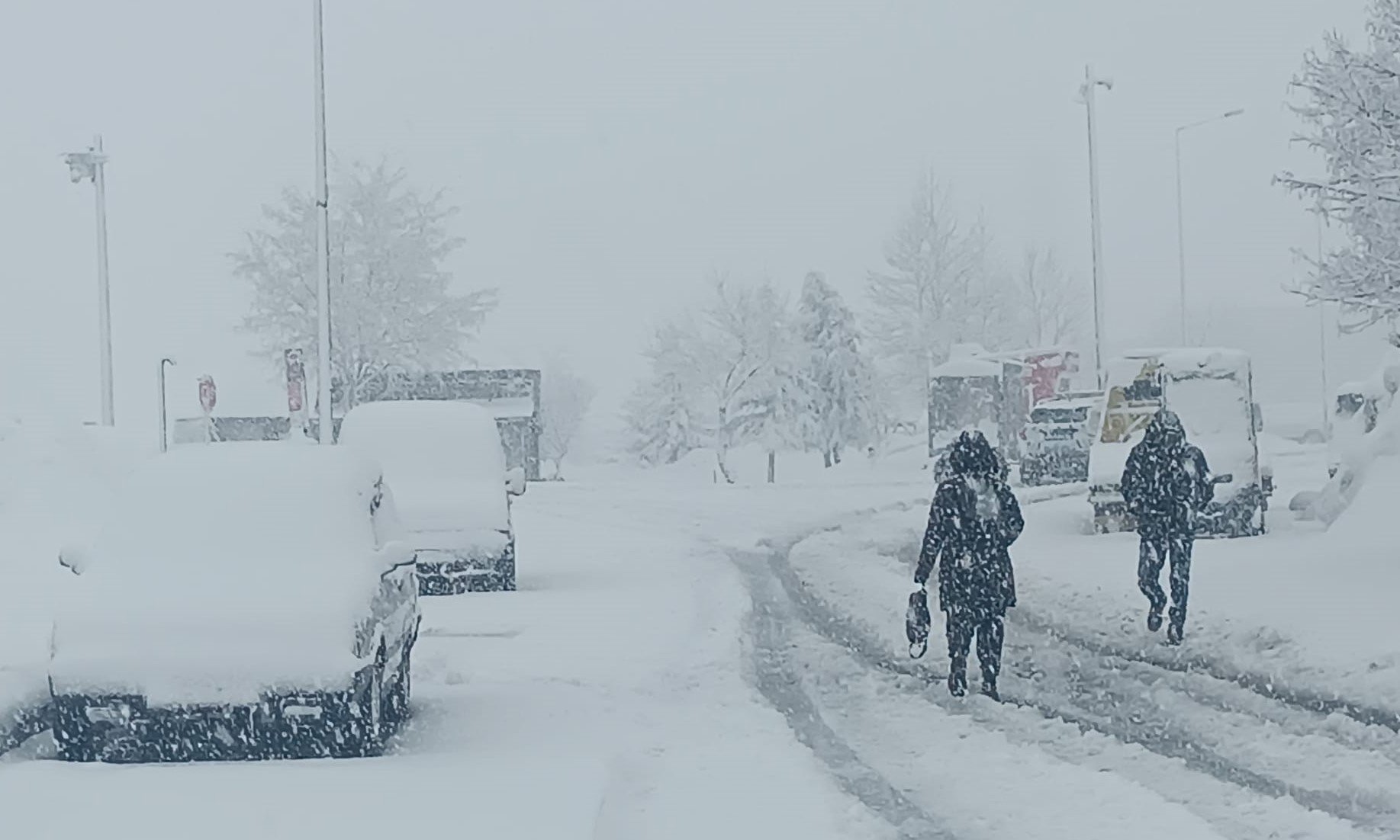 Bitlis'te etkili olan kar yağışı